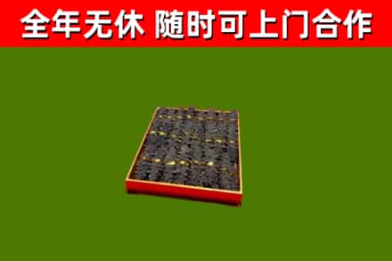 新邱回收海参